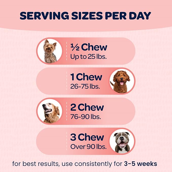 Hip and Joint Chews for Dogs | Dog Glucosamine Chews for Comfort & Mobility with Chondroitin MSM & Turmeric | Dog Joint Supplement for All Ages & Sizes | NASC Certified & Made in The USA | 90 Chews