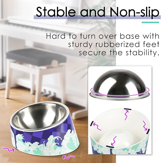 Super Design Mess Free 15° Slanted Bowl for Dogs and Cats, Tilted Angle Bulldog Bowl Pet Feeder, Non-Skid & Non-Spill, Easier to Reach Food