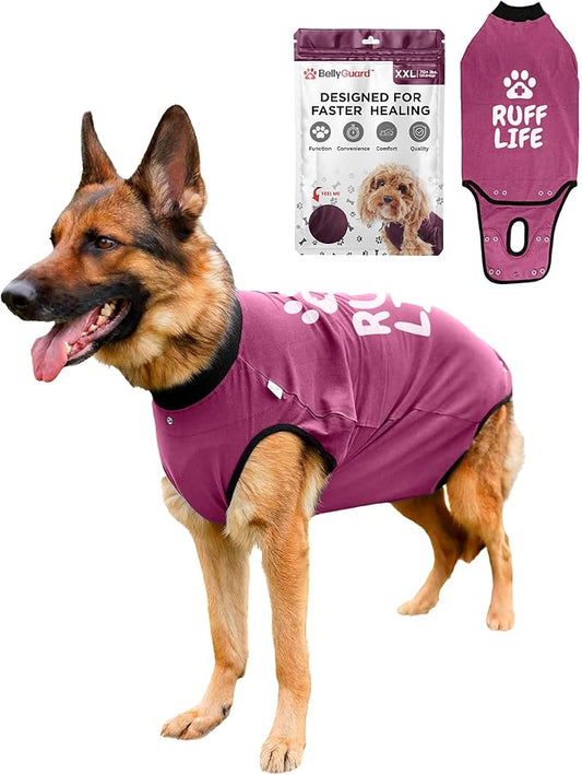 BellyGuard Dog Surgery Recovery Suit, Post-Op Dog Recovery Suit for Female Spay & Male Neuter, Comfy Onesie for Pets, Surgical Body Cover for Canine Healing Support