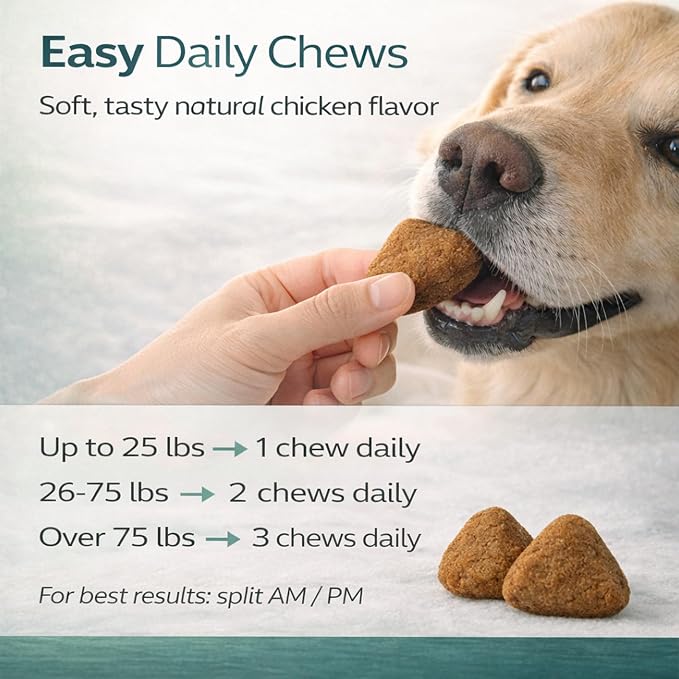 Calmaxis Chews, Postbiotic Chews for Dogs, Supports Calm Behavior & Gut Health, Postbiotic Complex & L-Theanine, Natural Chicken Flavor, 60chews for Small & Large Dogs