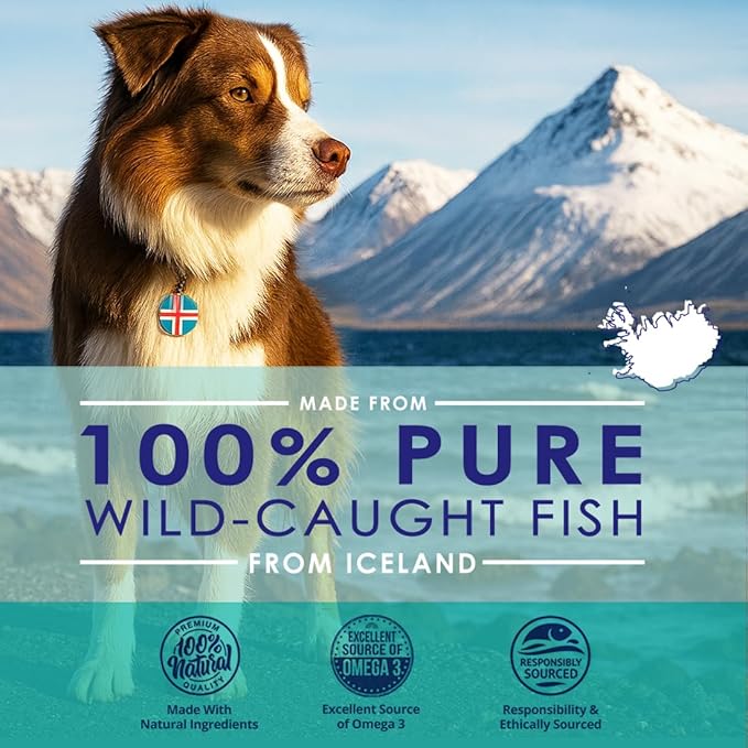 Liquid Fish Oil for Dogs with Omega 3, 6 & 9 Fatty Acids, Wild Caught from Iceland, Skin and Coat Supplement for Shedding, Itchy Skin, Allergies, Brain and Heart Health, Rich in EPA + DHA - 32 oz