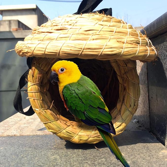 Hamiledyi Natural Wood Bird Playground Stand with 4 Large Layers - Exercise Perch and Birds Nest Straw