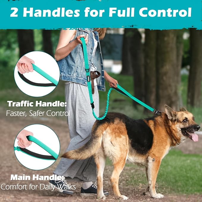 PetBonus Heavy Duty Tactical Dog Leash and 2-Pack Large Silicone Collapsible Dog Bowls