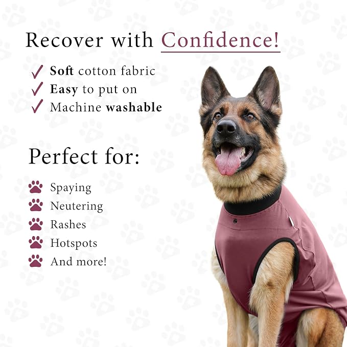 BellyGuard Dog Surgery Recovery Suit, Post-Op Dog Recovery Suit for Female Spay & Male Neuter, Comfy Onesie for Pets, Surgical Body Cover for Canine Healing Support