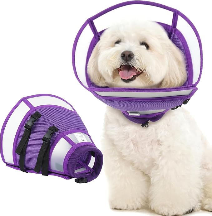 Dog Cone Alternative for Small Dogs to Stop Licking | Adjustable Recovery E-Collar for After Surgery & Wounds, Lightweight & Comfortable Elizabethan Protective Cone (Purple, M)