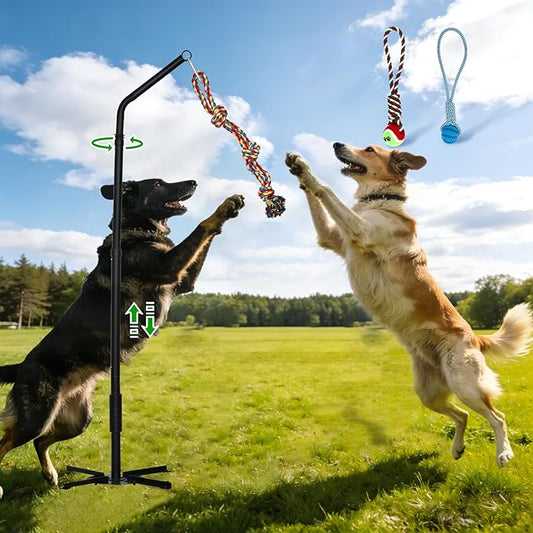 Tether Tug Outdoor Dog Toy,Tether Tug,Tether Dog Toy Rack with 3 Tug Rope Toys Adjustable Spring Pole,Interactive Pull Toy for Large Medium Small Dog Tether Tug of War Dog Chew Rope Toy