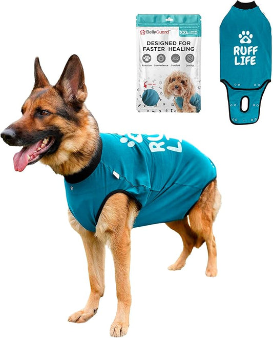 BellyGuard Dog Surgery Recovery Suit, Post-Op Dog Recovery Suit for Female Spay & Male Neuter, Comfy Onesie for Pets, Surgical Body Cover for Canine Healing Support