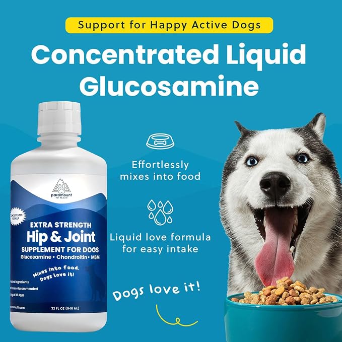 Liquid Glucosamine for Dogs 2600mg, Hip & Joint Supplement with Chondroitin & MSM, 32 oz Mobility Support for Large Dogs, Human-Grade Joint Care Made in GMP & FDA Registered Facility