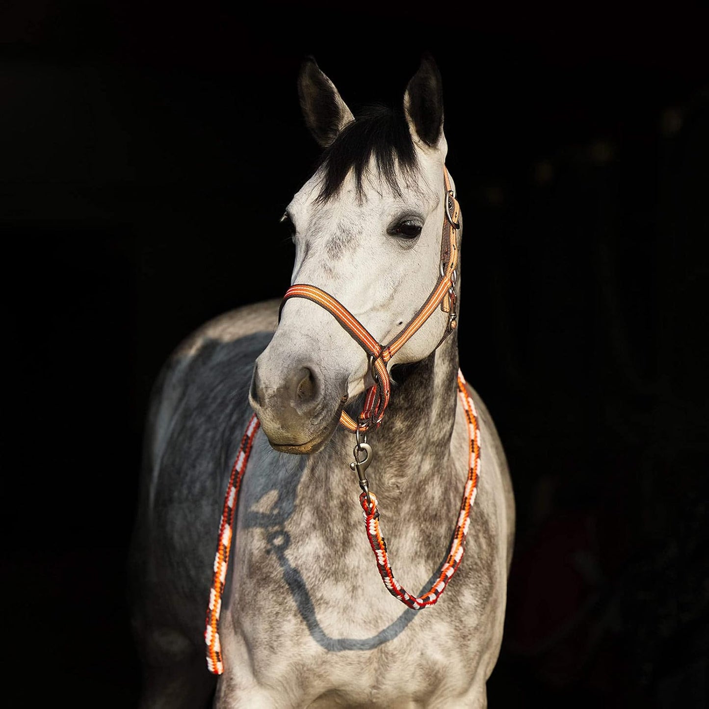 HORZE Adepto Adjustable Horse Halter | Soft, Durable Polyester - Coral Gold - Cob