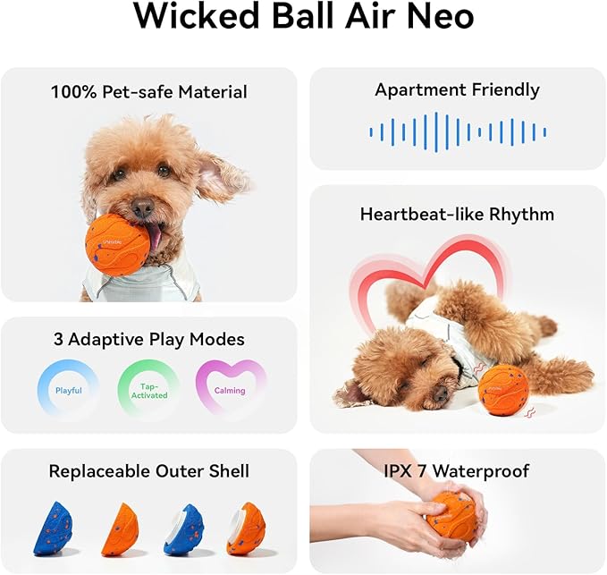 Cheerble Smart Interactive Dog Toy, Wicked Ball AIR Neo, Heartbeat Puppy Toy Automatic Moving, Bouncing, and Rotating, ETPU Material, IPX7 Waterproof Rating, Active Rolling Ball for Medium & Large Dog