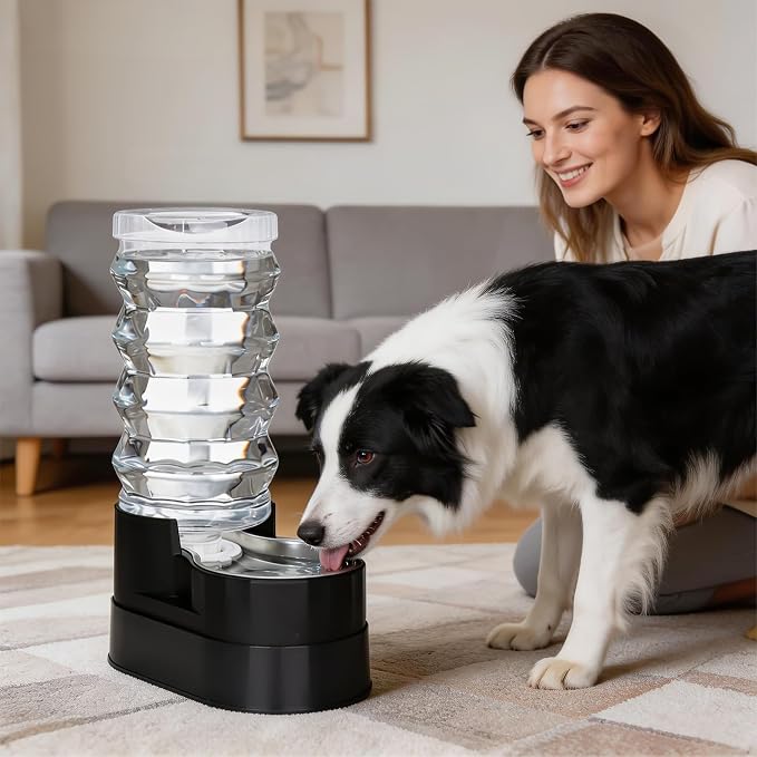 RIZZARI 9L Large Capacity Stainless Steel Pet Water Dispenser – Elevated Gravity Water Bowl with Filter for Healthy Hydration, Anti-Spill Design for Large Dogs, Senior Pets & Indoor Outdoor Spaces