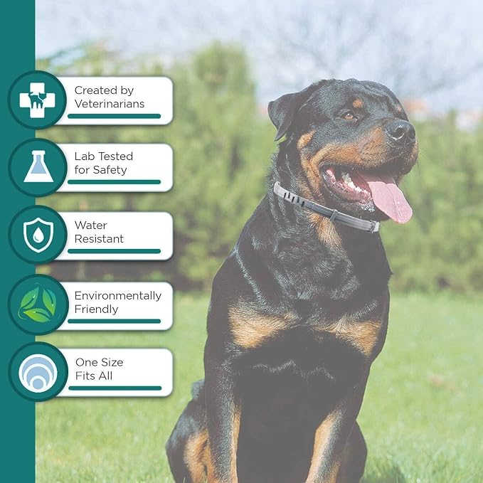 Flea and Tick Collar for Dog and Cat, Made with Plant Based Essential Oil, Safe and Effective, Waterproof, Free Comb and Tweezers & Drop 12-Month, 2 Packs