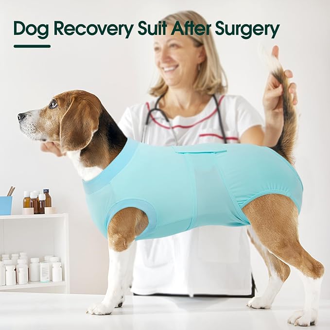 Kuoser Dog Recovery Suit for Dogs After Surgery, Soft Dog Surgical Onesie for Female Male Dogs Spay Neuter, Anti-Licking Pet Bodysuit for Abdominal Wounds, Skin Disease, E-Collar Alternative, Blue XS