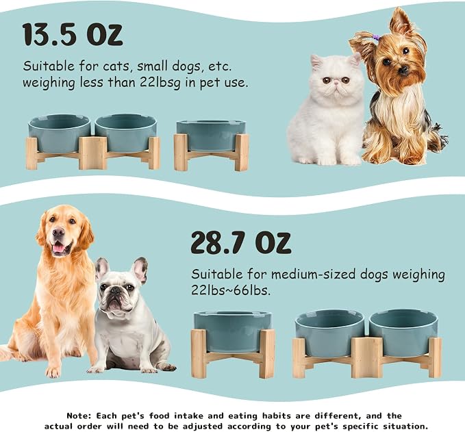 SPUNKYJUNKY 15° Slanted Ceramic Dog and Cat Bowl with Wooden Stand, Tilted Bulldog Food and Water Bowl No Slip Non-Spill for Cats Medium Dogs Big Face Pets 28.7 OZ (3.6 Cups, Light Green × 2)