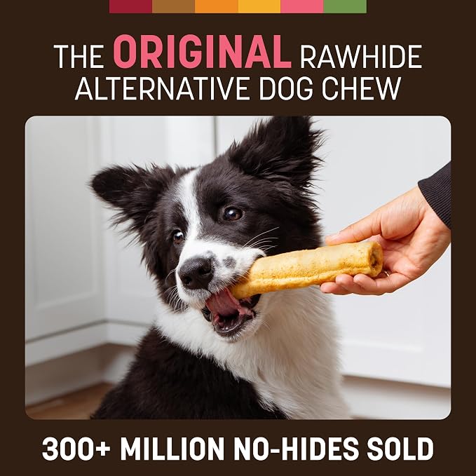Earth Animal No Hide Chews - Long Lasting Rawhide Free Medium Dog Chews Rolls, Salmon - 3 Count Value Pack