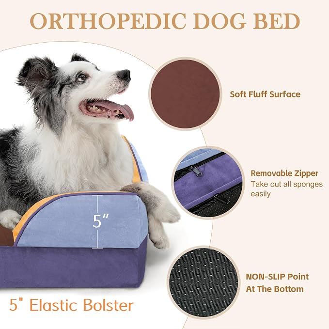 Comfort Expression Orthopedic Dog Bed for Large Dogs 36x27 Inch, Waterproof Egg Crate Foam Large Pet Bed with Bolsters, Dog Couch with Washable Cover & Non-Slip Bottom, Honey Lavender