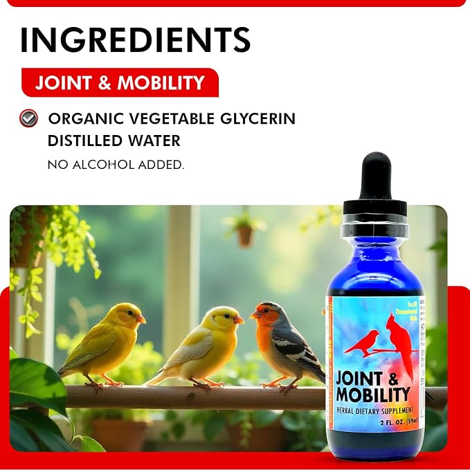 Morning Bird Joint & Mobility 2 fl oz – Herbal Liquid Supplement for Birds – Supports Joint Health, Muscle Comfort & Mobility – Ideal for Aging or Recovering Birds