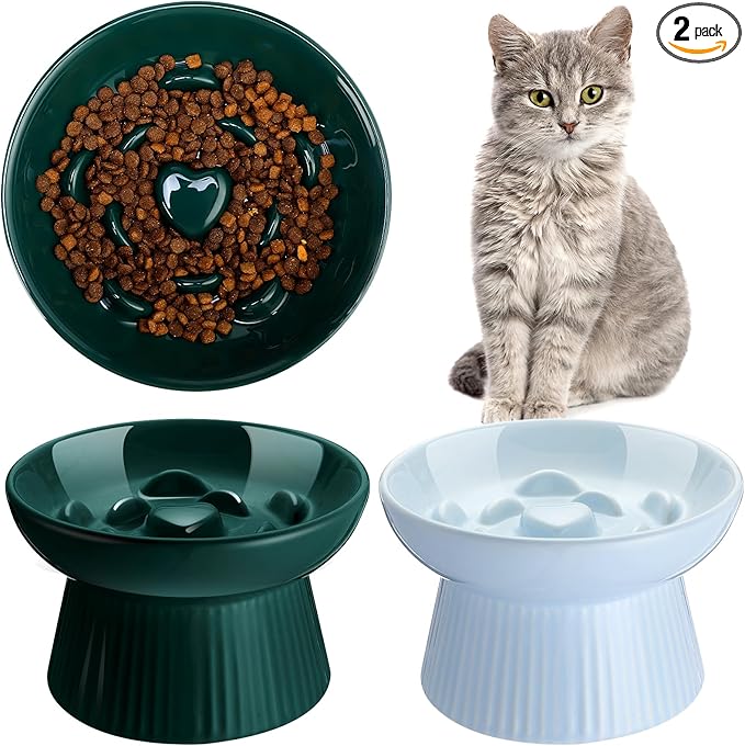 Tioncy 2 Pcs Raised Cat Slow Feeder Bowl Ceramic Elevated Cat Dog Food Bowl No Spill High Edge for Dry Wet Food and Water Easy to Clean, Dishwasher Safe (Dark Green,Blue)