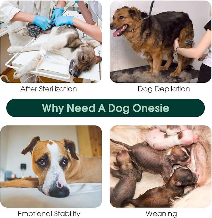 Kuoser Dog Surgery Recovery Suit, Soft Breathable Dog Recovery Suit for Female Spay Male Nueuter, Anti Licking Puppy Onesie Pet Surgical Suit for Dogs Abdominal Wounds Skin Disease, Pink Strips 2XL