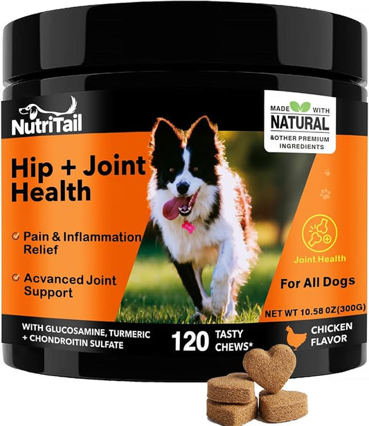 Hip & Joint Health Soft Chews for Dogs – Glucosamine, Turmeric, Omega-3 & Chondroitin – Natural Joint Supplement for Mobility, Pain & Inflammation Relief – Chicken Flavor, 120 Soft Chews