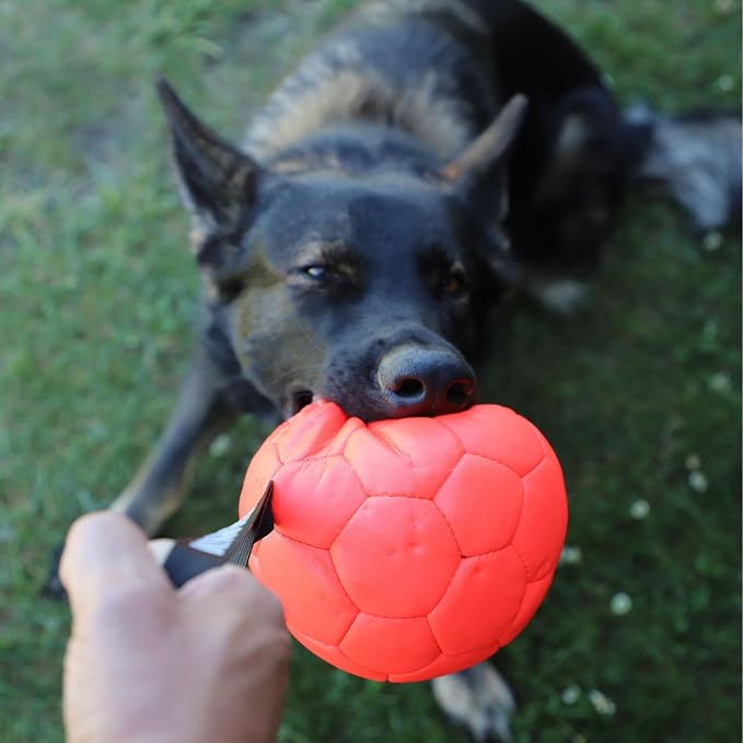 DINGO GEAR WWW.DINGOGEAR.COM 1977 Faux Leather Ball for Dog Training, as Reward for Fetch tug of war, for Strong Dog, Handmade, 7in Orange S02698