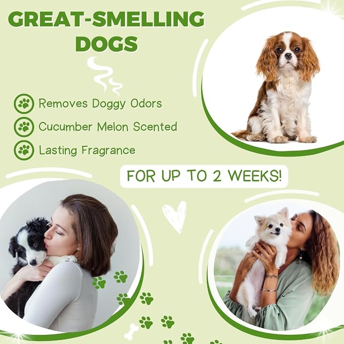 All Stages Dog Grooming Natural Dog Shampoo and Conditioner with Aloe Vera, pH balanced Shampoo for Dogs, Tear-Free, Moisturizing Dog Shampoo for Sensitive Skin - 26.4 Oz