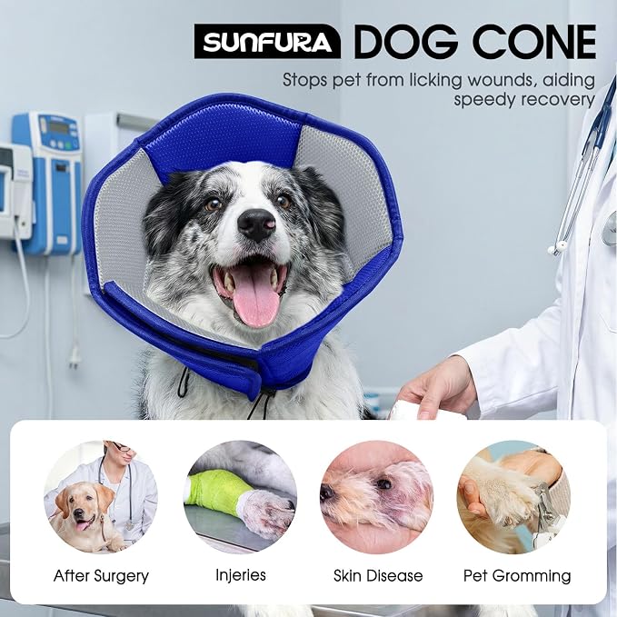 Dog Cone - Soft Cone for Dogs to Stop Licking, Pet E-Collar Alternative After Surgery, Adjustable Pet Recovery Collar for Wound Healing, Blue Large