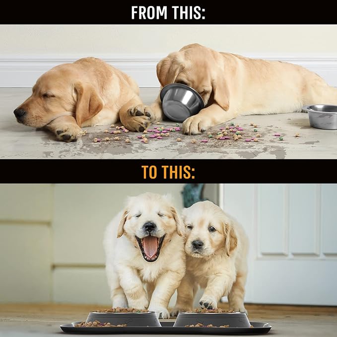 Active Pets Dog Bowl Set, Stainless Steel No Spill Mess-Proof Food & Water Food Bowls with Skid Resistant Silicone Mat, Dog Bowls Small Size Dog, Medium, & Large, Pet Puppy Bowls & Dishes