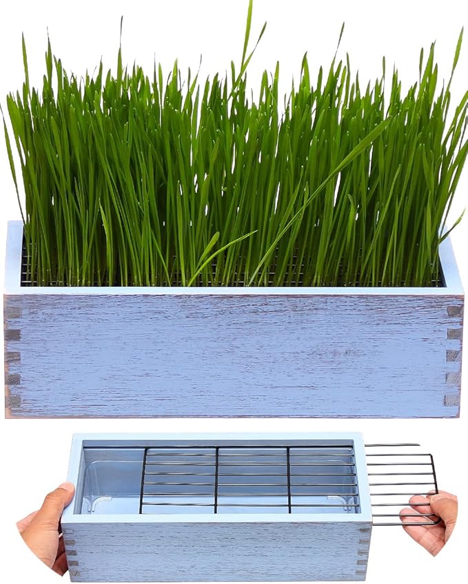 Wooden Cat Grass Planter (no Seeds Included) Anti Digging Design | with Potting Soil Disks, Anti-Digging Grid and Removable Plastic Liner, Wheat Grass Growing Pot for Indoor Cats Rabbits Pets