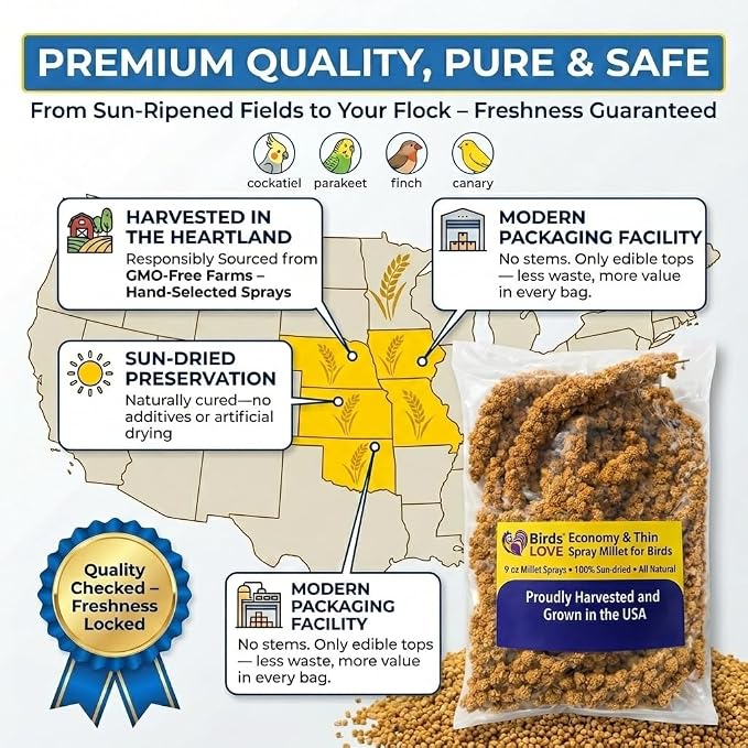 9 oz Spray Millet for Birds – GMO-Free, No Stems (Only Edible Tops) – 100% Natural Sun-Dried Foraging Treat for Cockatiels, Lovebirds, Parakeets, Finches & Canaries
