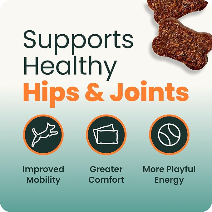 VetriScience Extra Strength Healthy Hip & Joint Chews, GlycoFlex Glucosamine & Green-Lipped Mussel Support Supplement for Dogs, Promote Mobility & Soothe Joint Discomfort, Chicken, 3 Pack