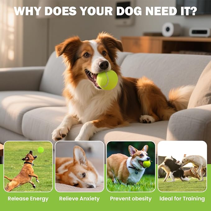 FURWEY Tennis Balls, 12/24/36/80 Pack Bulk Tennis Balls Pressureless Tennis Ball, Come with Mesh Bag for Easy Transport,Pet Dog Playing Balls, Good for Beginner Training Ball