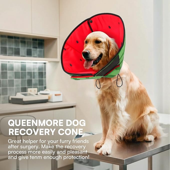 Queenmore Dog Cone, Cone for Dogs to Stop Licking, Dog Cones for Medium Dogs, Adjustable Doggy Recovery Collars & Cones, Elizabethan Collar for Pets After Surgery, Watermelon M