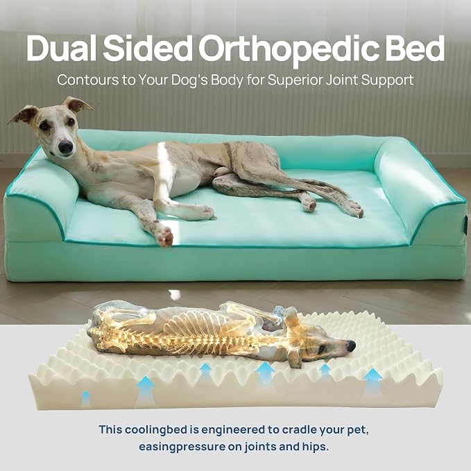 Cooling Dog Bed for Small,Medium Dogs & Cats with Bolsters,Q-Max>0.45 Orthopedic Pet Cool Sofa Beds with Breathable Egg Crate Foam,Removable Washable Cover, Light Aqua