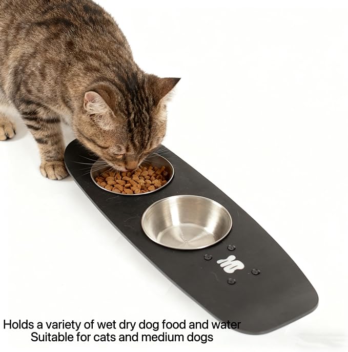 Dog Bowls Water and Food Cat Bowl Stainless Steel Bowl Pet Feeder Bowls for Medium Dogs and Cats Puppies, Black