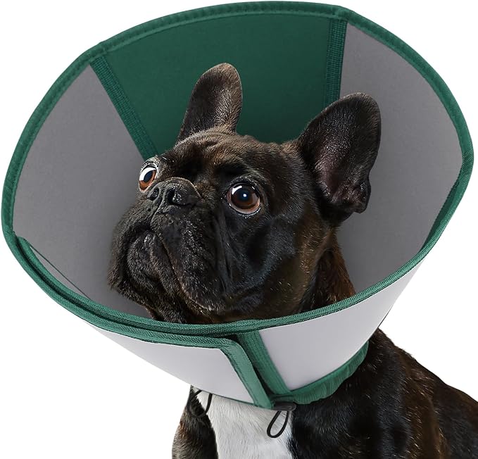 Queenmore Dog Cones for Medium Dogs, Soft Dog Cone, Cone for Dogs After Surgery, Adjustable Recovery Collar for Wound Healing, Comfortable Pet E-Collar to Stop Licking (Dark Green,M)