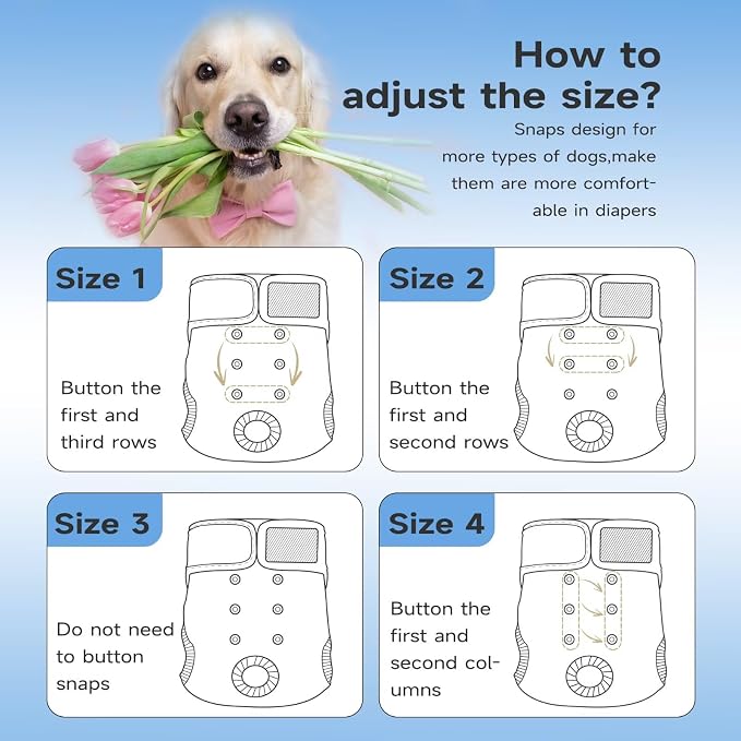 Paw Legend Washable Reusable Female Dog Period Diapers for Heat Doggie Puppy Diapers for Female Dogs (3 Pack, Small)