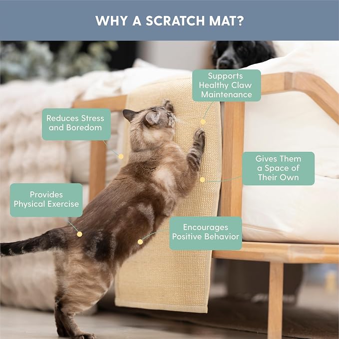The Cat Ladies Cat Scratch Furniture Protector Mat - Couch Protector from Claws - Anti Scratch Furniture Protectors from Cats Scratching - Sisal Scratcher Pad - Beige