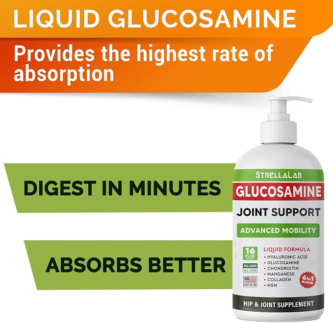 Liquid Glucosamine + Salmon Oil Omega 3 for Dogs Bundle - Joint Pain Relief + Allergy Relief - Chondroitin, MSM, Collagen + Omega 6 9 - EPA&DHA Fatty Acids - Hip&Joint Care - 16oz + 32oz - Made in USA