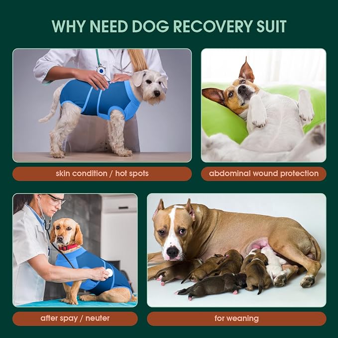 Kuoser Dog Recovery Suit, Female/Male Spay/Neuter/Postpartum Care, Anti-Licking Pet Surgical Suit, Blue, Large (23-48LB)