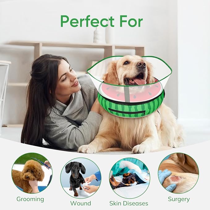 Supet Raised Inflatable Dog Cone After Surgery - Adjustable Recovery Donut Collar with Removable Shield to Stop Licking Wounds & Protect Stitches - Soft Dog Cone Alternative for Dogs (Watermelon,M)