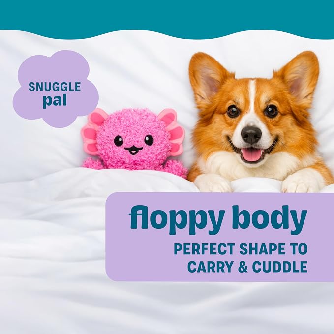 Comfort Plush Dog Toy with Microwavable Buckwheat Heat Pouch, Ultra-Soft Calming Cuddle Companion for Puppies & Dogs, Axolotl, 11”