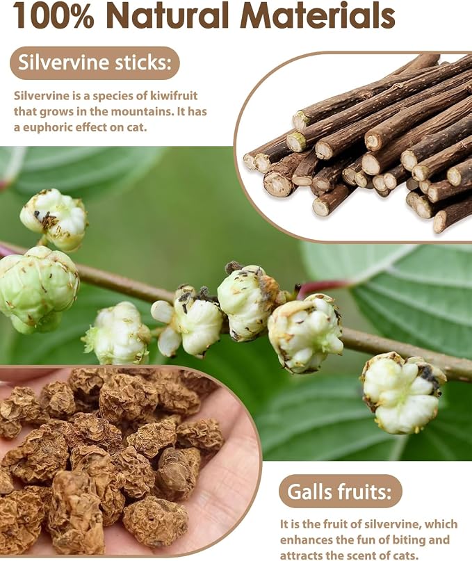 Tocirelo Catnip Toys and Silvervine Sticks for Cats