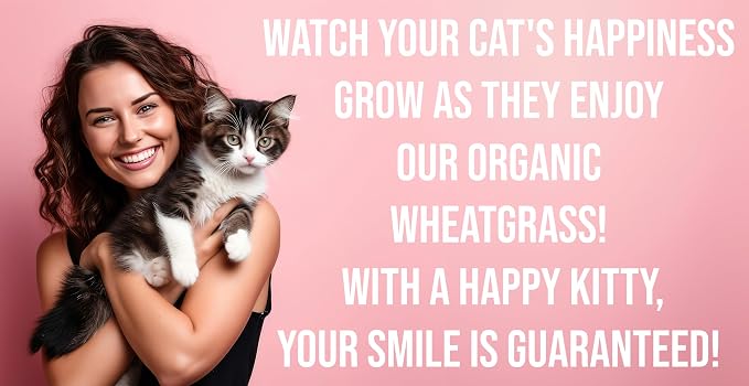 Cat Grass for Indoor Cats - Ornamental Indoor Planter with Pet/Cat Grass Growing kit, Handcrafted in the USA from Red Cedar (Aged Tourquoise)