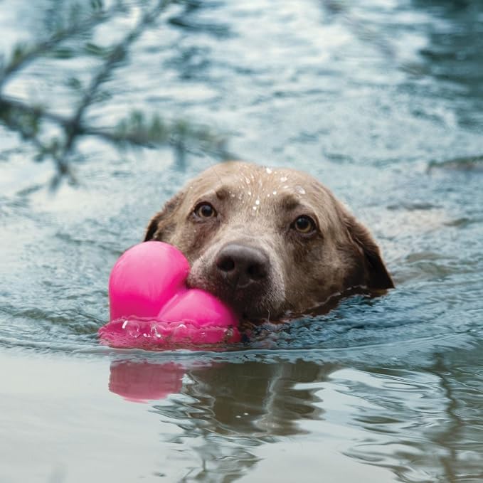 Ruff Dawg Indestructible Dawg-Hart (Heart) XL 4” – Heavy-Duty Solid Rubber Dog Fetch Toy for Dogs 40 lbs & Up – Floats & Crazy Bounce – Made in USA – Assorted Neon Colors