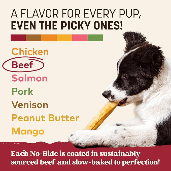 Earth Animal No Hide Chews - Long Lasting Rawhide Free Medium Dog Chews Rolls, Beef - 3 Count Value Pack