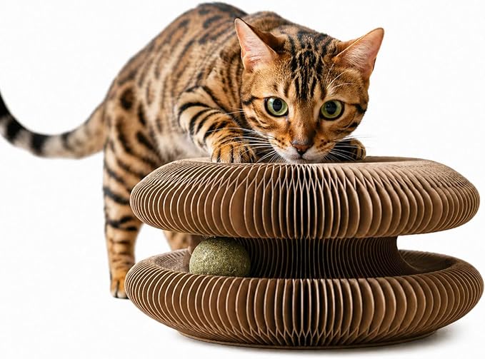 Cat Toy, Cat Scratchers for Indoor Cats, Magic Organ Foldable Cardboard Cat Scratcher, Cat Toy Interactive Relieve Boredom and Exercise