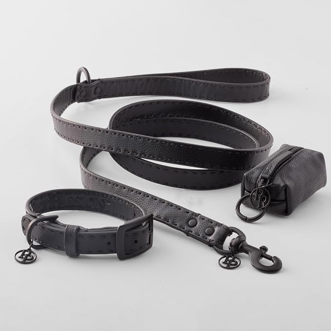 Rein - The Recycled Vegan Leather Pouch Durable Heavy Duty Bag Holder, Leash Attachment Made With Sustainable Materials, Custom Hardware for Small, Medium & Large Dogs, Black Beauty