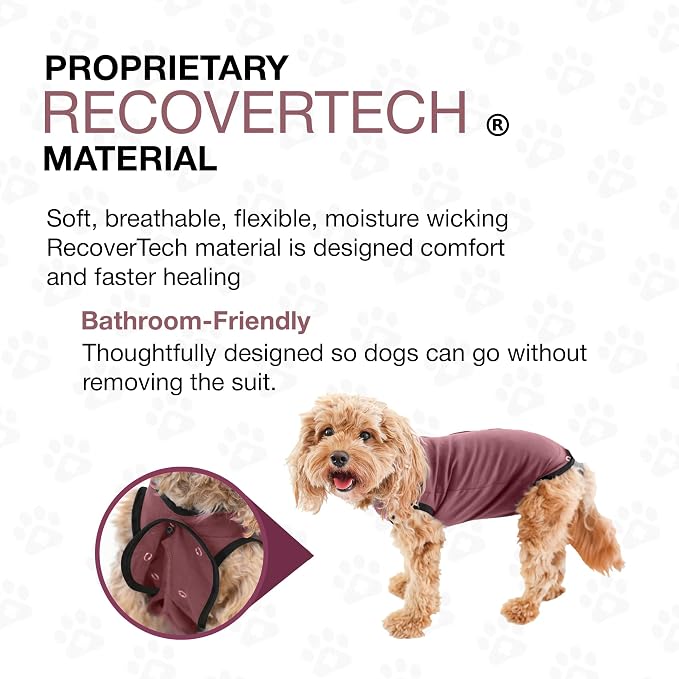 BellyGuard Dog Surgery Recovery Suit, Post-Op Dog Recovery Suit for Female Spay & Male Neuter, Comfy Onesie for Pets, Surgical Body Cover for Canine Healing Support
