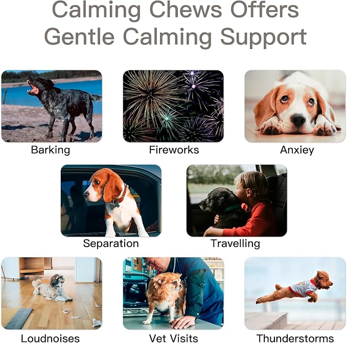 Advanced Calming Chews for Dogs - 240 Count Flavored Soft Chews for Anxiety, Stress & Barking Relief, Pet Supplement, All Ages & Sizes - (Chicken)